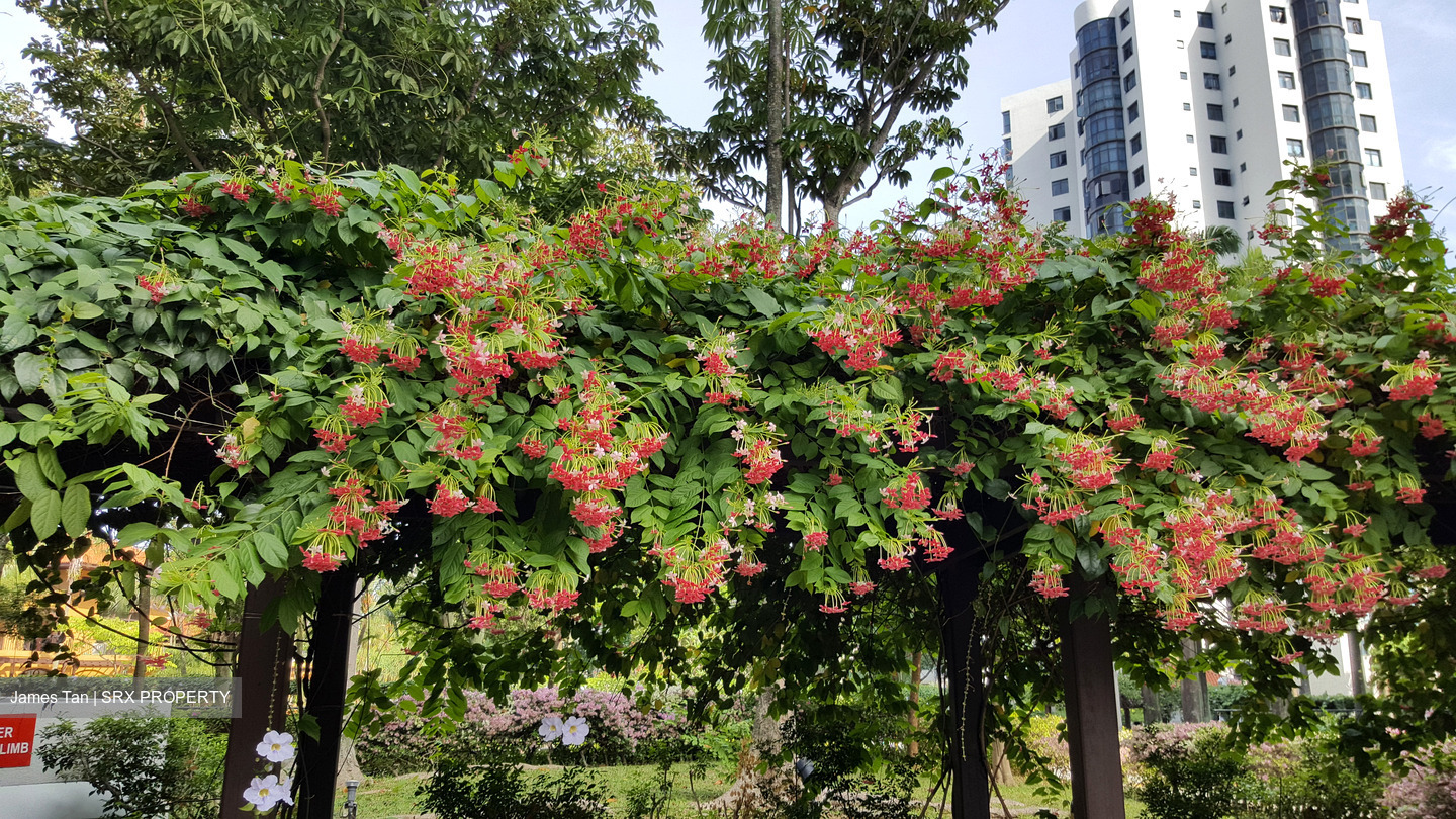 Parc Oasis (D22), Condominium #429900741
